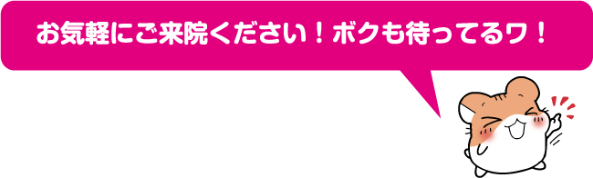 お気軽にご来院ください！ボクも待ってるワ！