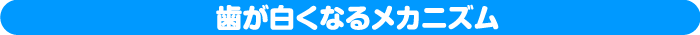 歯が白くなるメカニズム